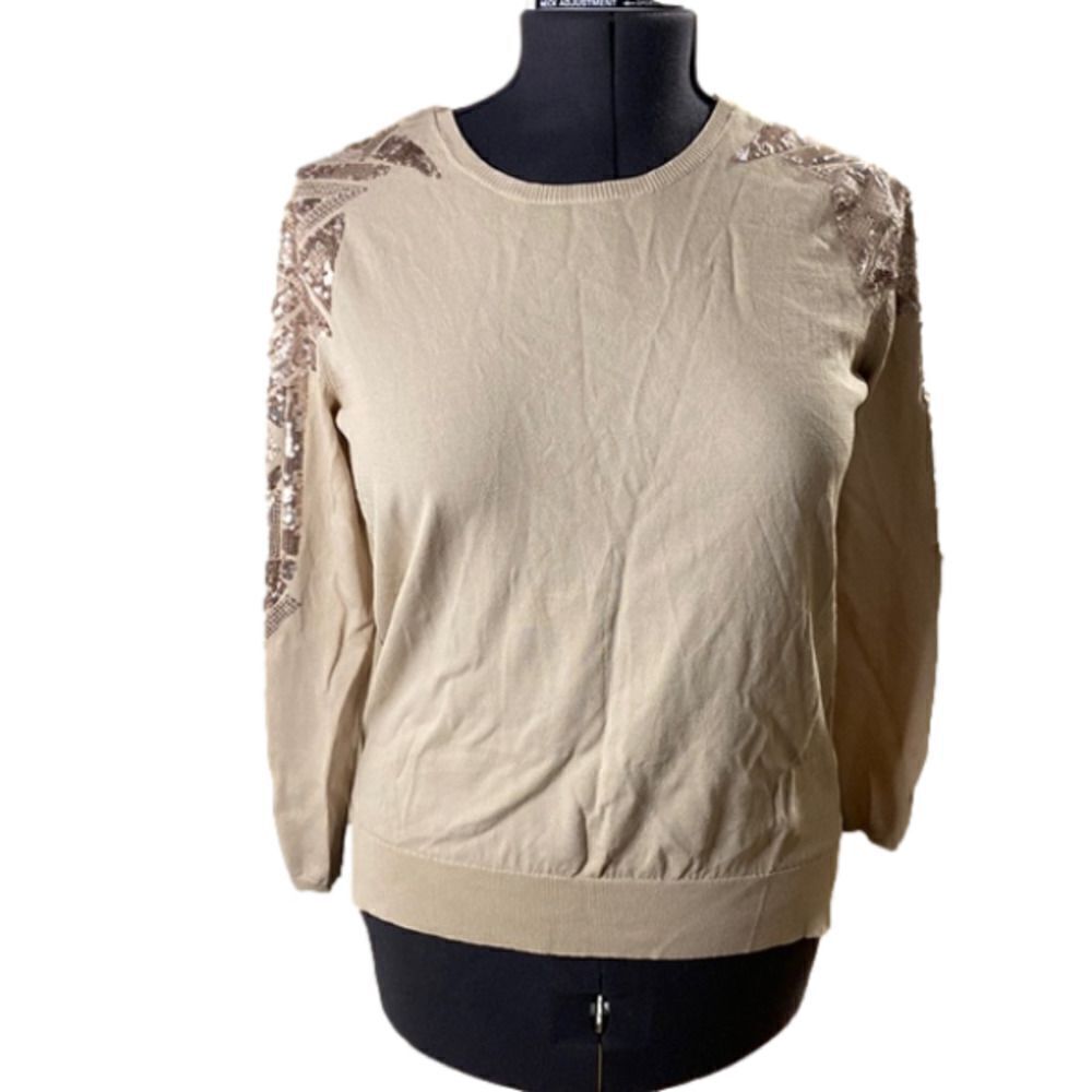 Zara Knit Crew Neck Oatmeal Sweater with Champagne Sequin Sleeve/Shoulder Detail
